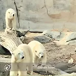 De Kleev Wohlfuehlen Direkt Am Nordseedeich Apartment *