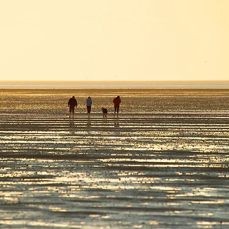 De Kleev Wohlfuehlen Direkt Am Nordseedeich *