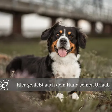 De Kleev Wohlfuehlen Direkt Am Nordseedeich شقة