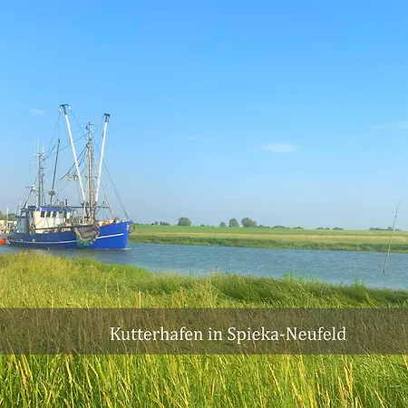 De Kleev Wohlfuehlen Direkt Am Nordseedeich