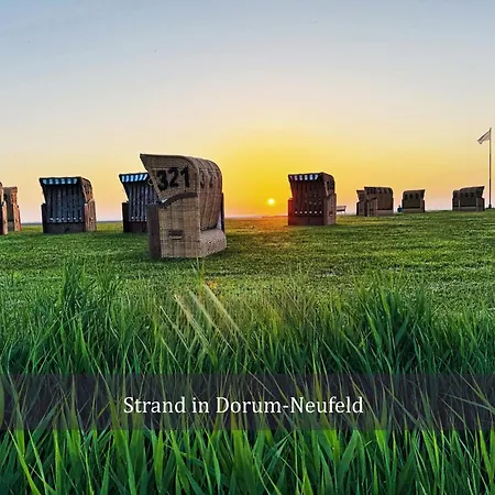 De Kleev Wohlfuehlen Direkt Am Nordseedeich *