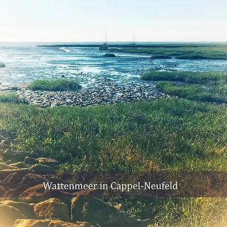 De Kleev Wohlfuehlen Direkt Am Nordseedeich Διαμέρισμα *