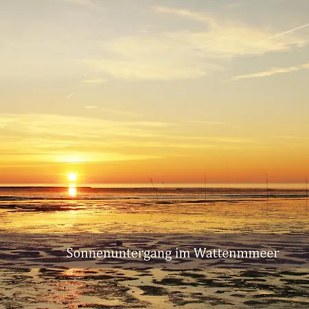 Apartment De Kleev Wohlfuehlen Direkt Am Nordseedeich *
