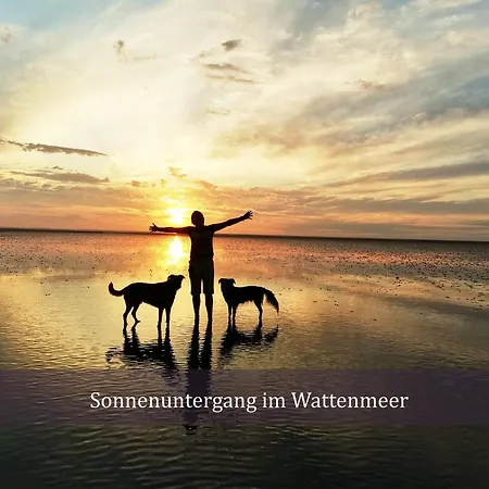 Διαμέρισμα De Kleev Wohlfuehlen Direkt Am Nordseedeich Wurster Nordseekuste