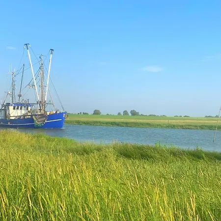 De Kleev Wohlfuehlen Direkt Am Nordseedeich Apartament