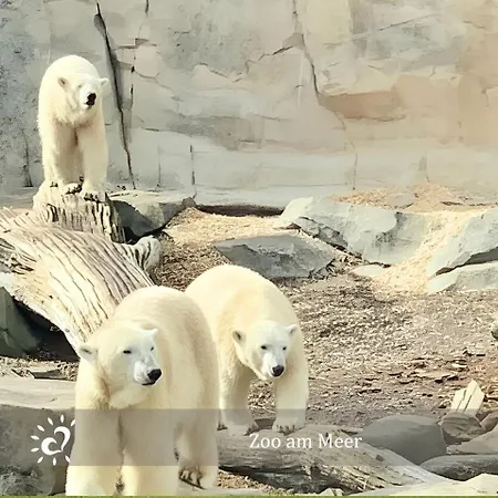 De Kleev Wohlfuehlen Direkt Am Nordseedeich Lägenhet *