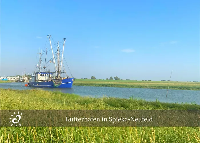 De Kleev Wohlfuehlen Direkt Am Nordseedeich
