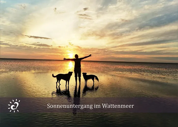 Apartman De Kleev Wohlfuehlen Direkt Am Nordseedeich Wurster Nordseeküste